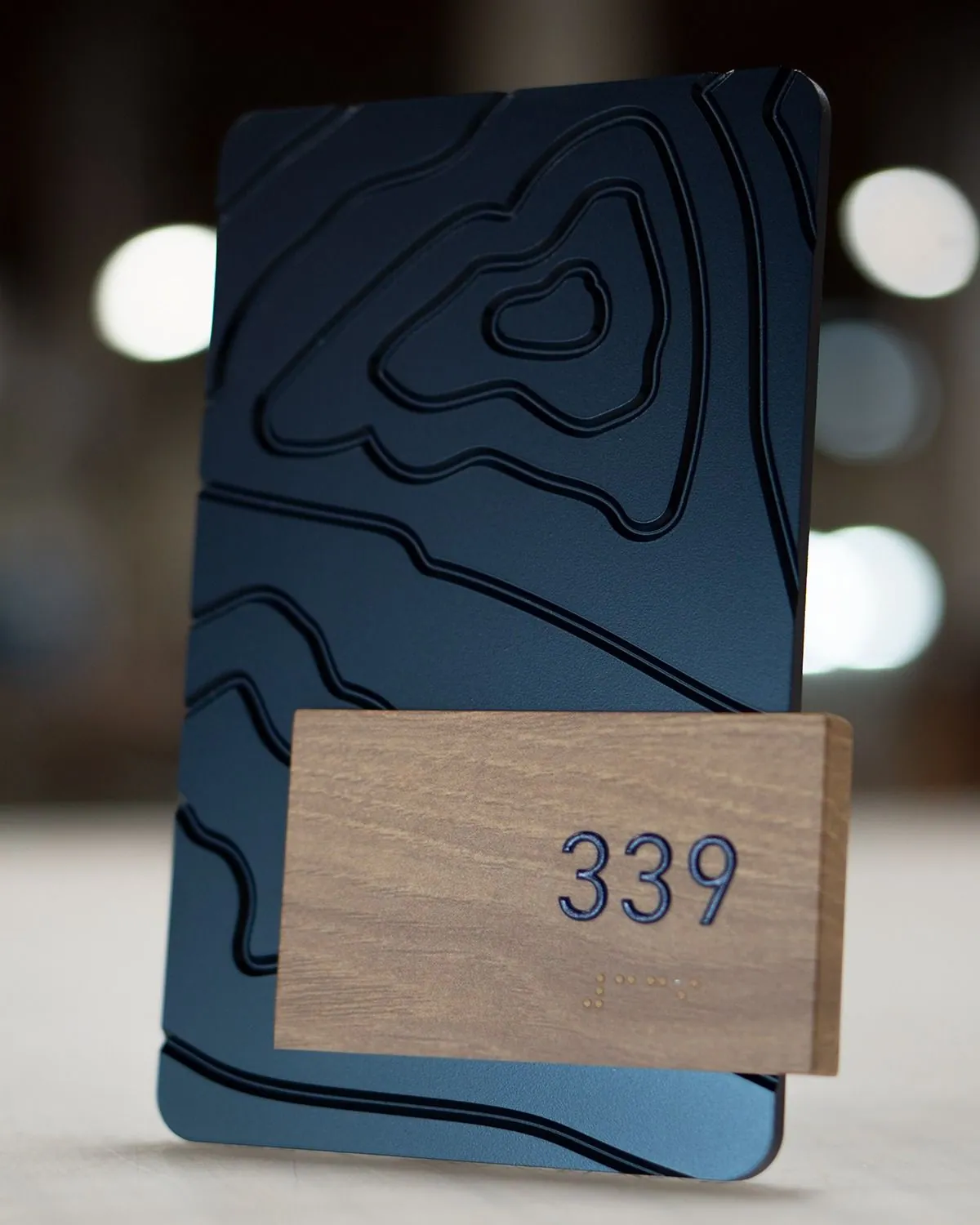 Tactile and Braille wayfinding signage